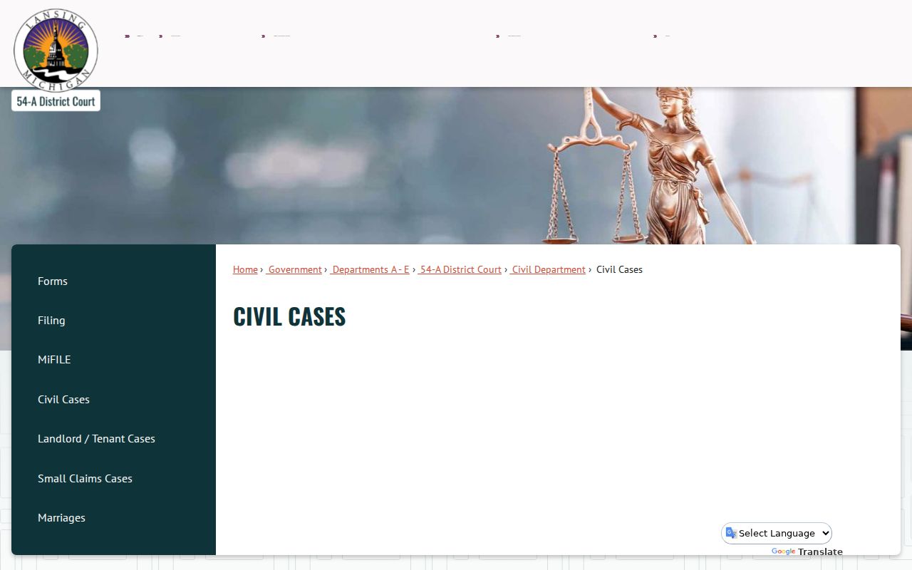 Lansing court docket civil case service page