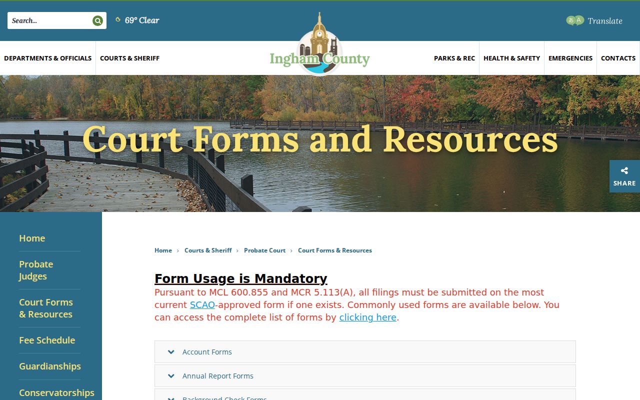 Mason court docket Probate forms entry point